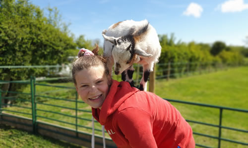 Girl Playing With Animals