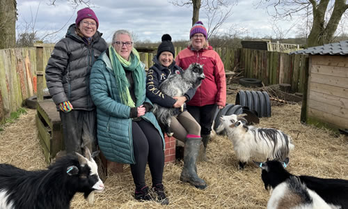 Group Activity Outdoors