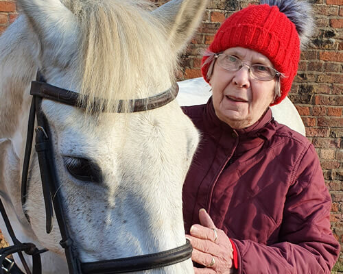 Horse Therapy Experience