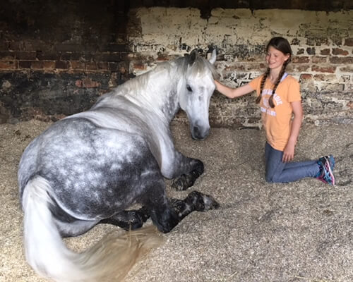 Girl With Horses