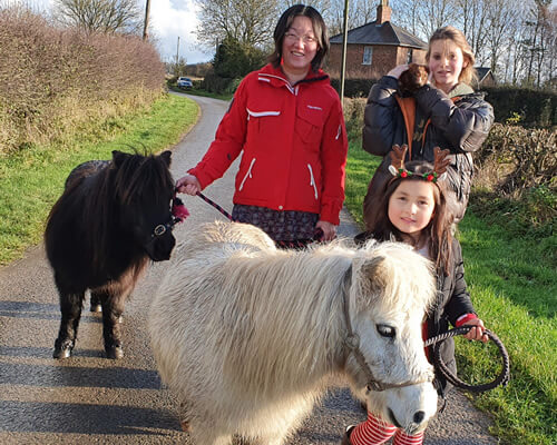 Family With Horses