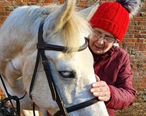 Support Session With Horse