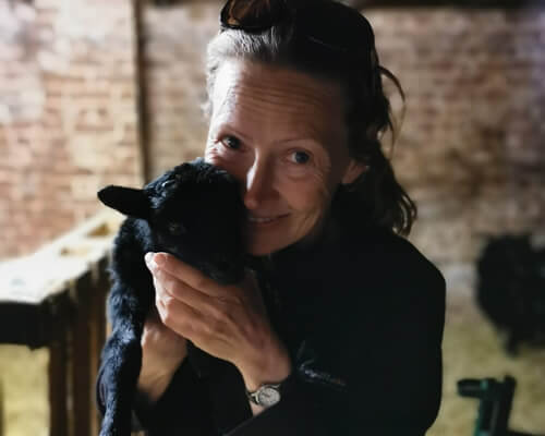 Goat Animal Experience