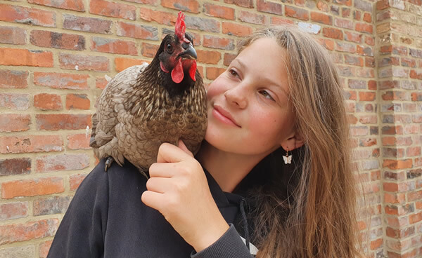 Booking Animal Experience