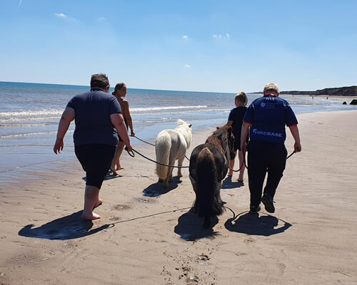 Horses On Beach