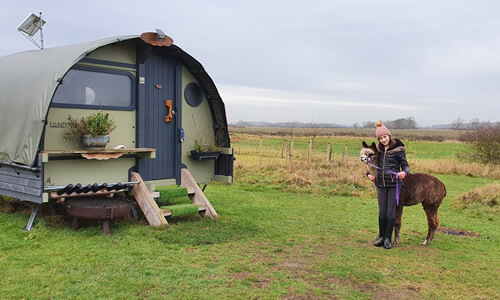 Wellbeing Experience Day