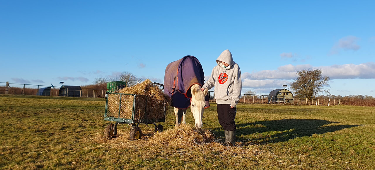 Girl Feeding Horse