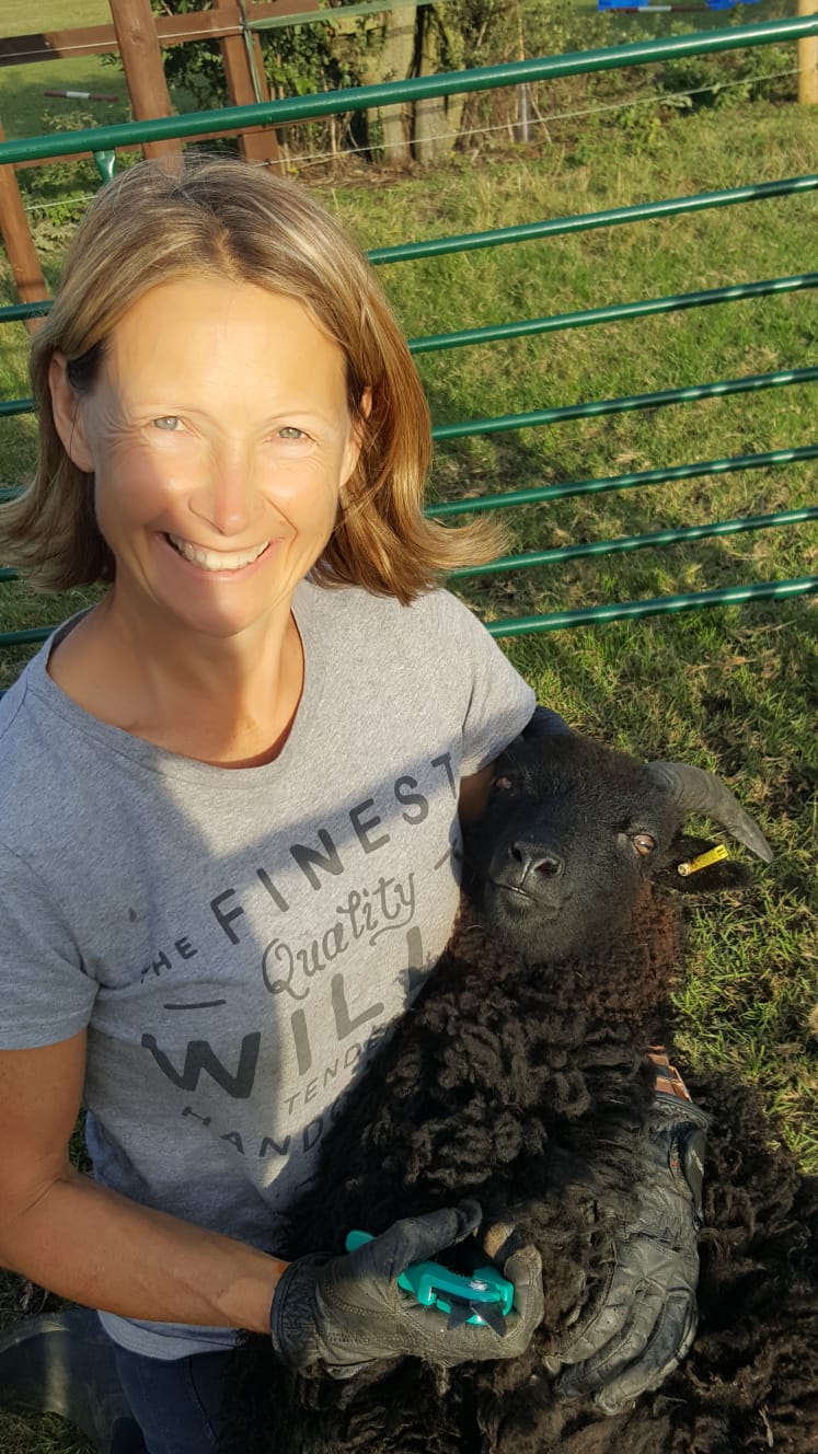 Hearts and Minds Story