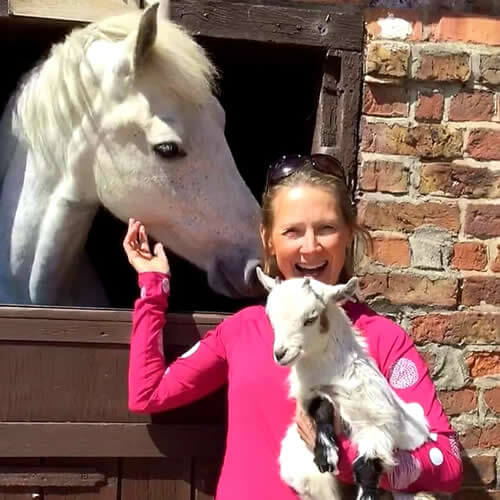 Family Animal Experience